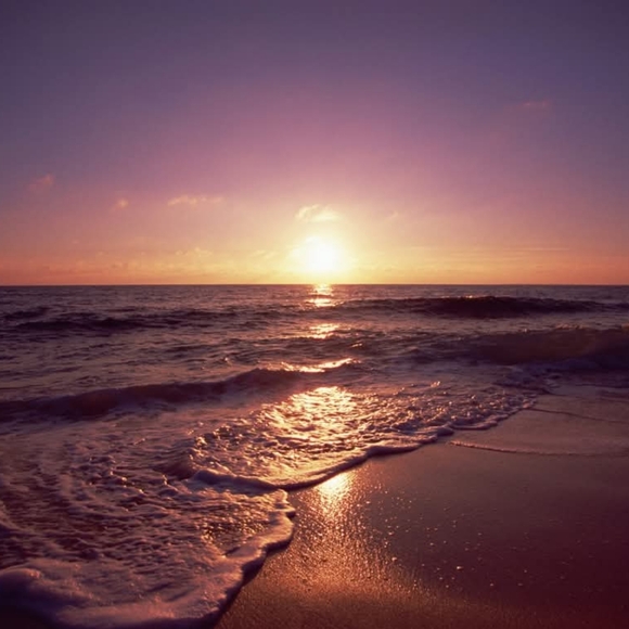 Meet your Posher, Jenn - Picture 1 of 1